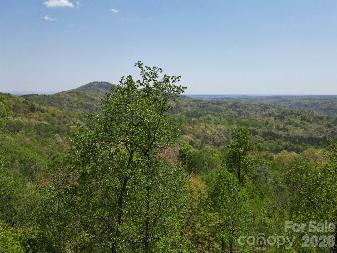 Lot 16 High Rock Ridge - Photo 1