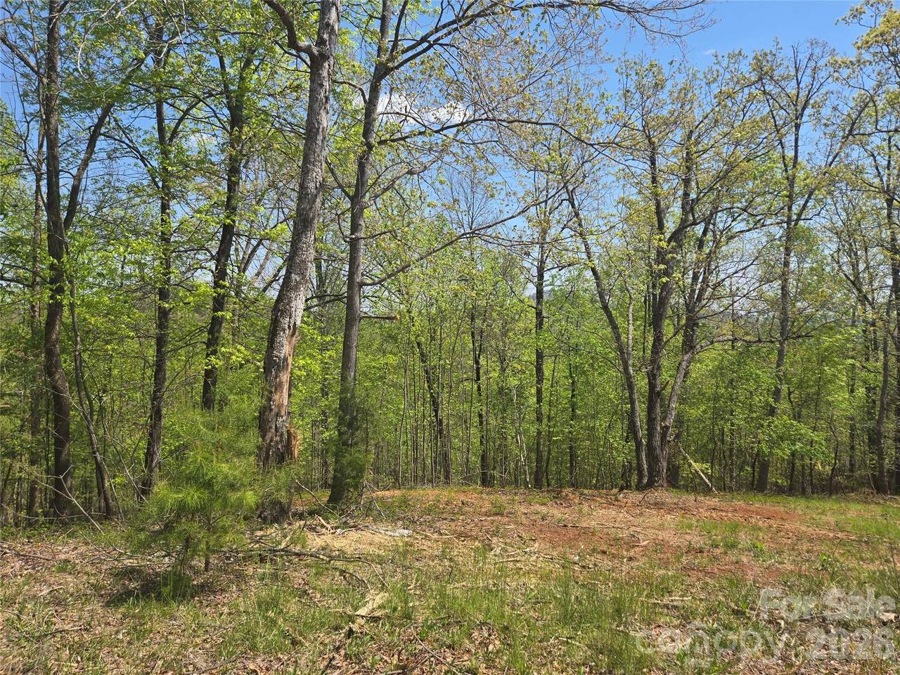 Lot 23 High Rock Ridge - Photo 1