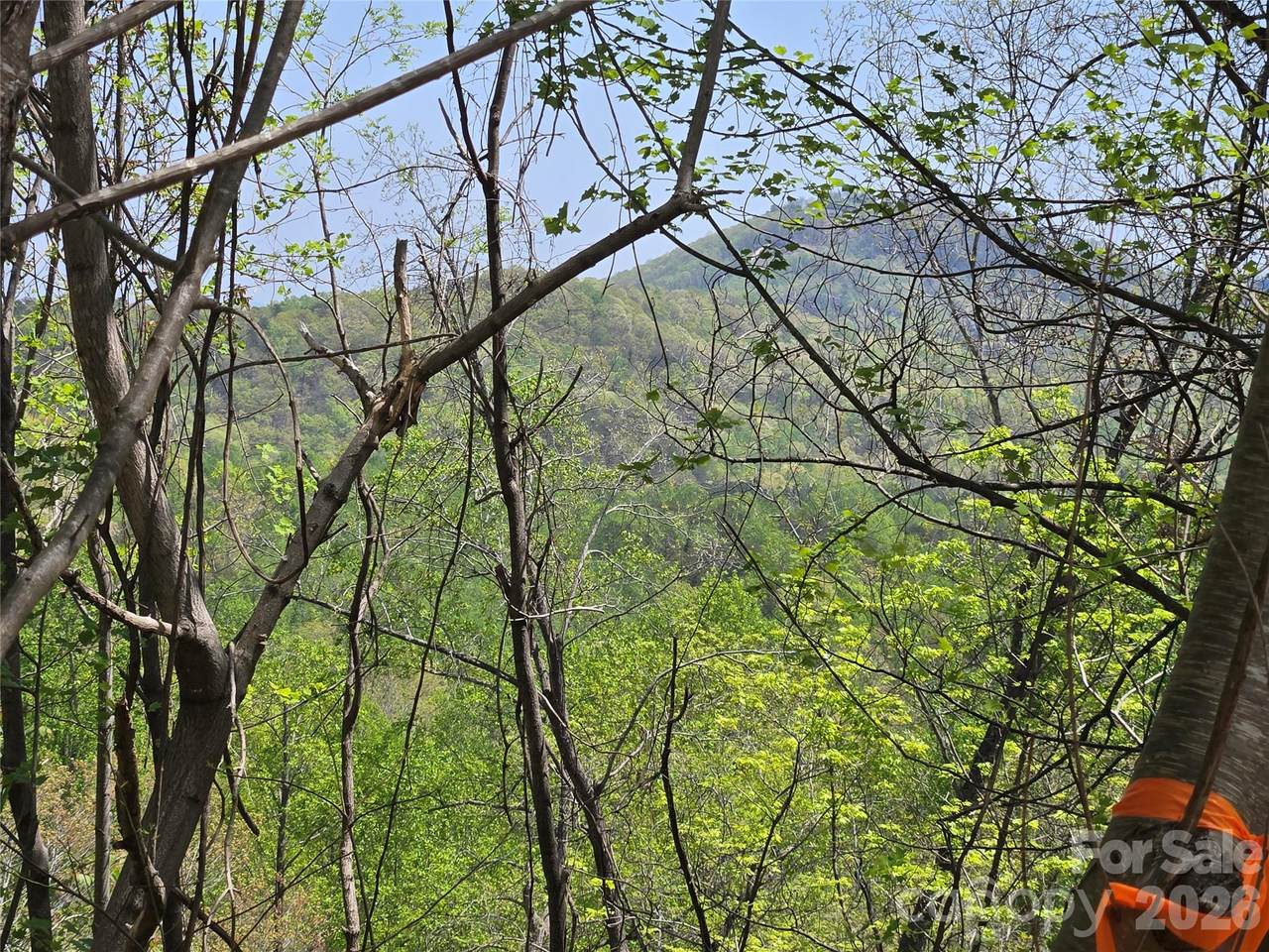 Lot 24 High Rock Ridge - Photo 1