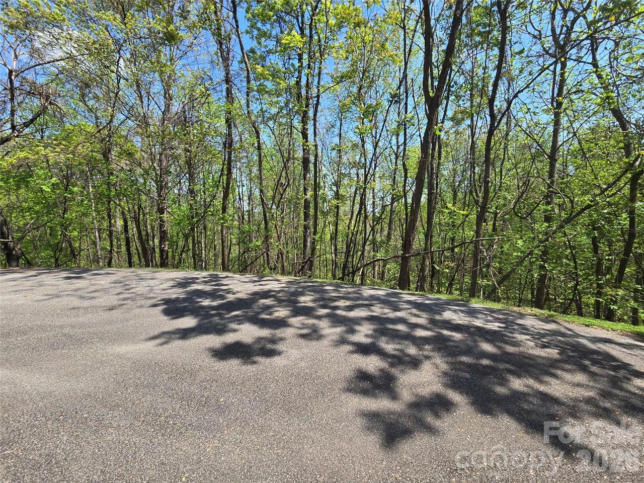 Lot 33 Turkey Fall Lane - Photo 1