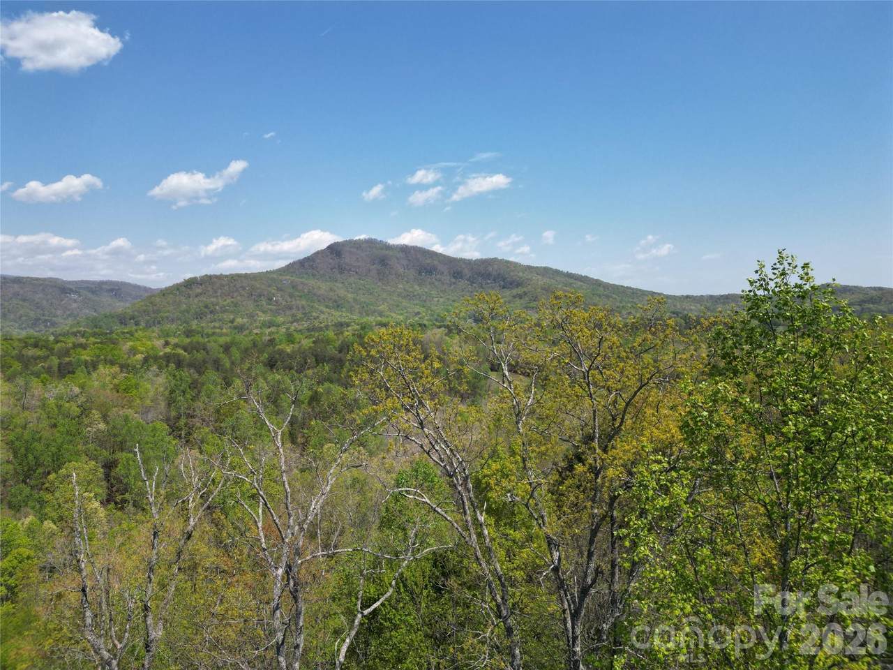 Lot 34 High Rock Ridge - Photo 1