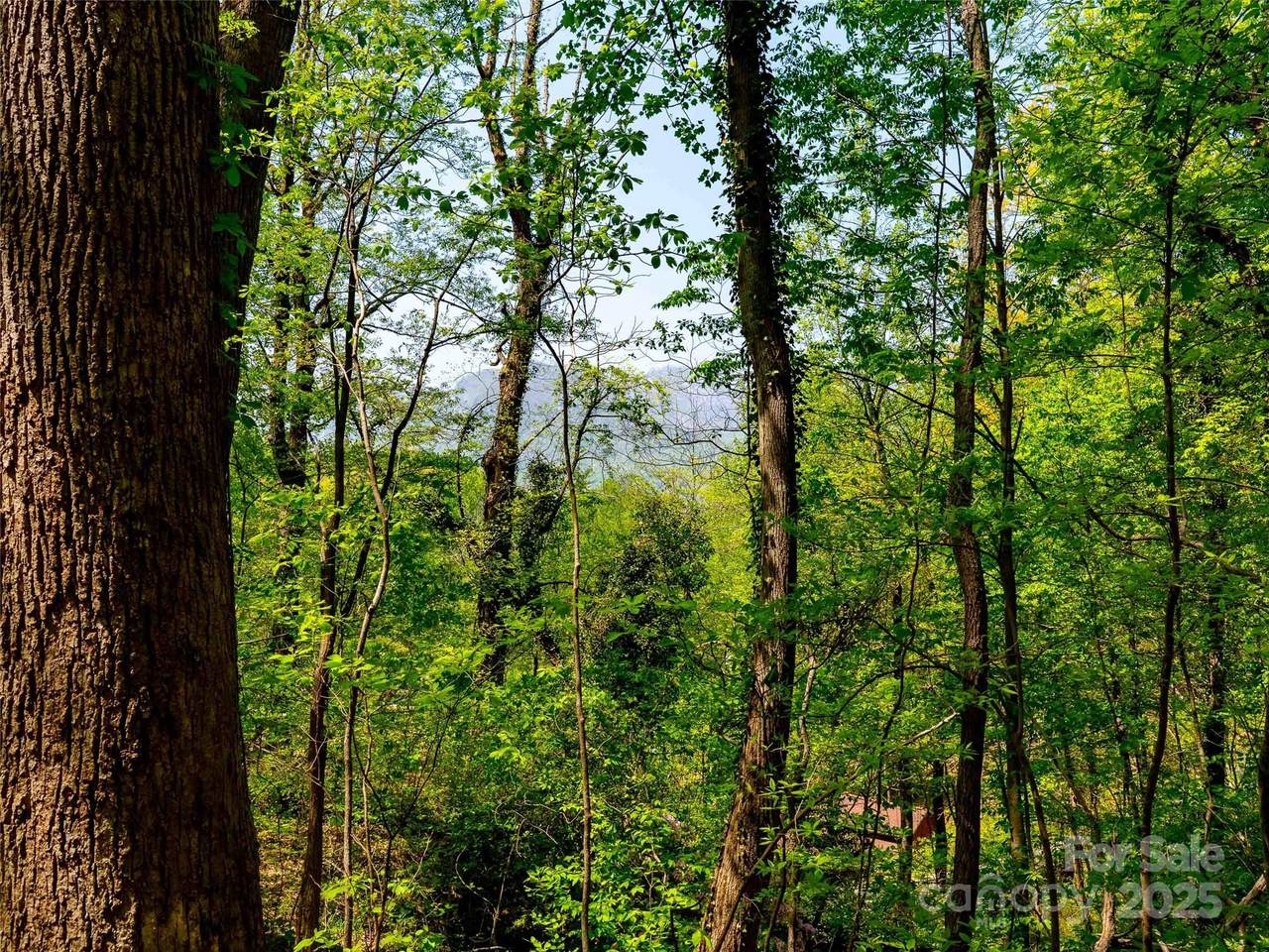 147 Sidney Lanier Drive - Photo 1