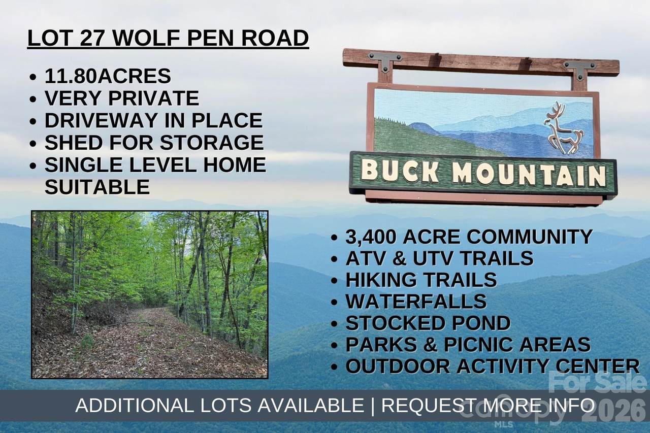 TBD Wolf Pen Road - Photo 1
