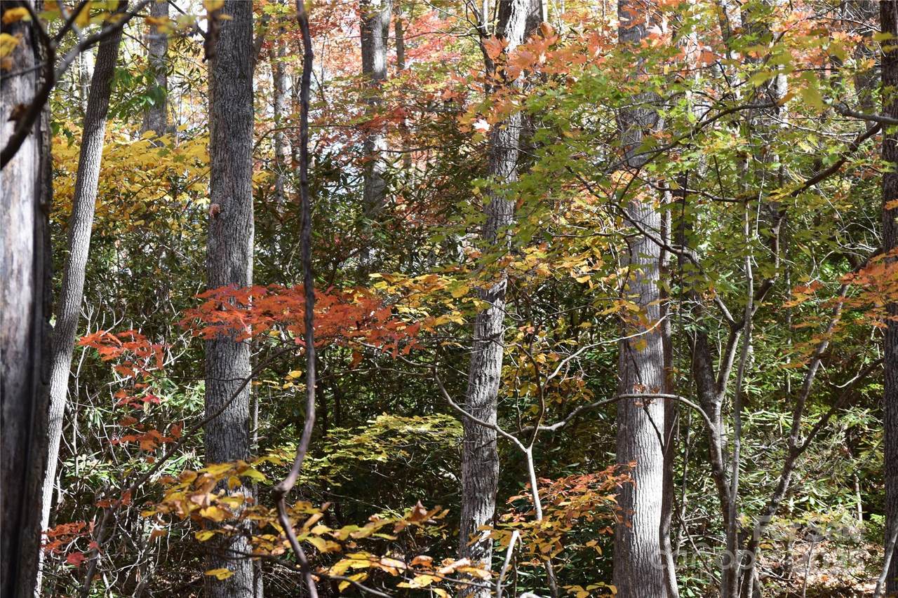 TBD Clear Creek Road - Photo 1