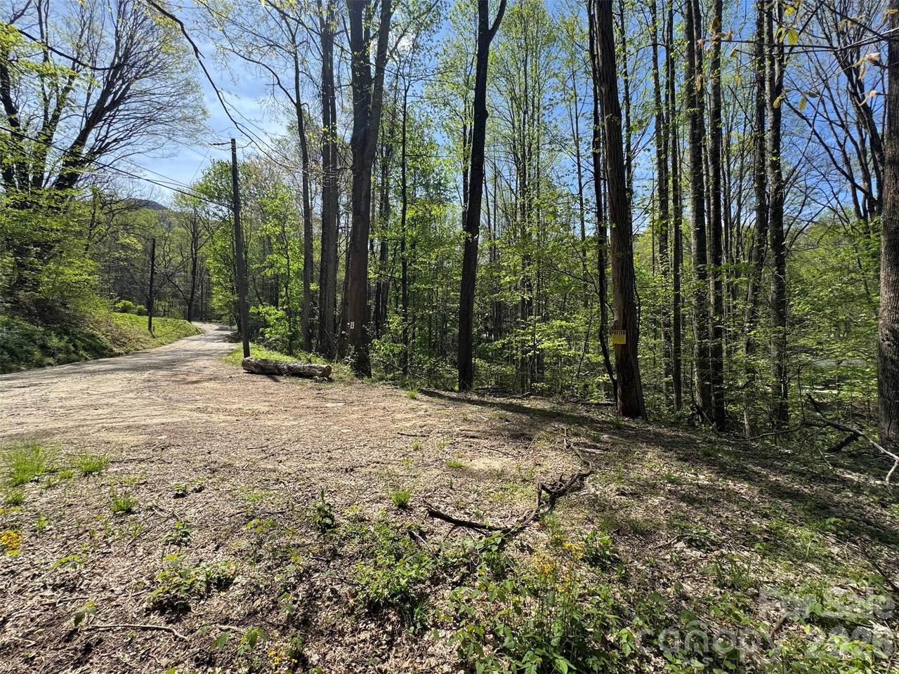 TBD (B) Browning Branch Road - Photo 1