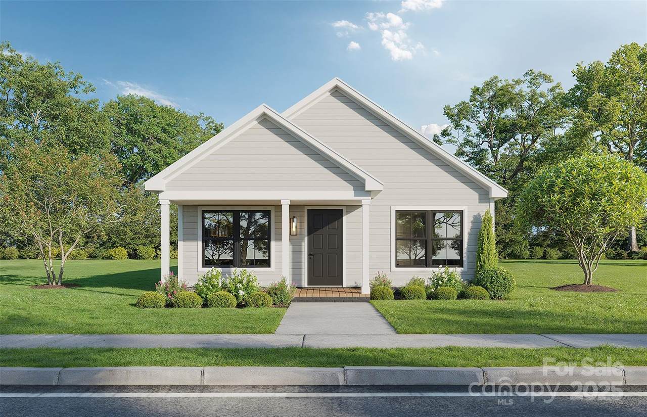Lot 1 New Pineola Road - Photo 1