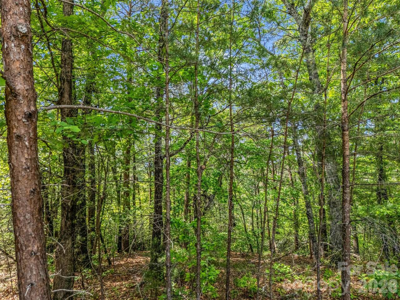 4 Woodward Drive - Photo 1