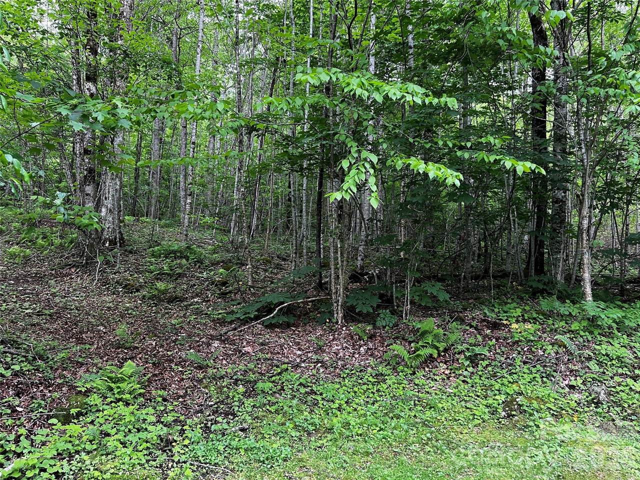 https://bt-photos.global.ssl.fastly.net/cmls/1280_boomver_2_4258743-1.jpg