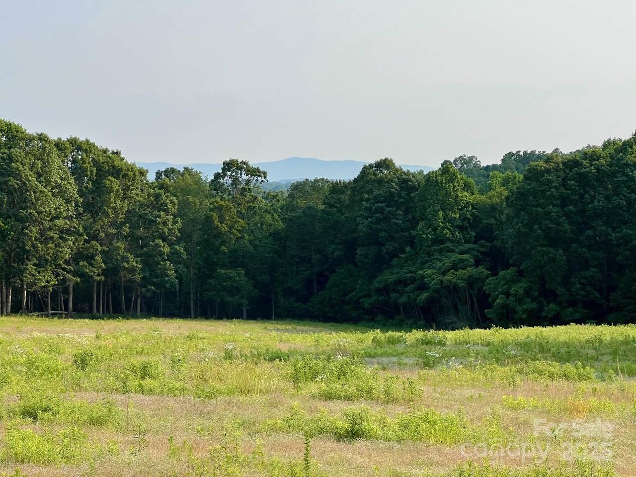 000 Campfield Church Road - Photo 1