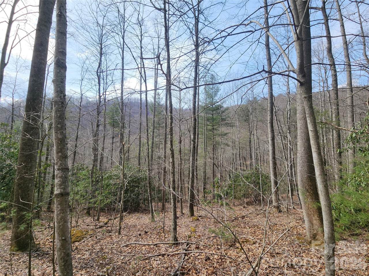 9999 Burnette Reeves Road - Photo 1