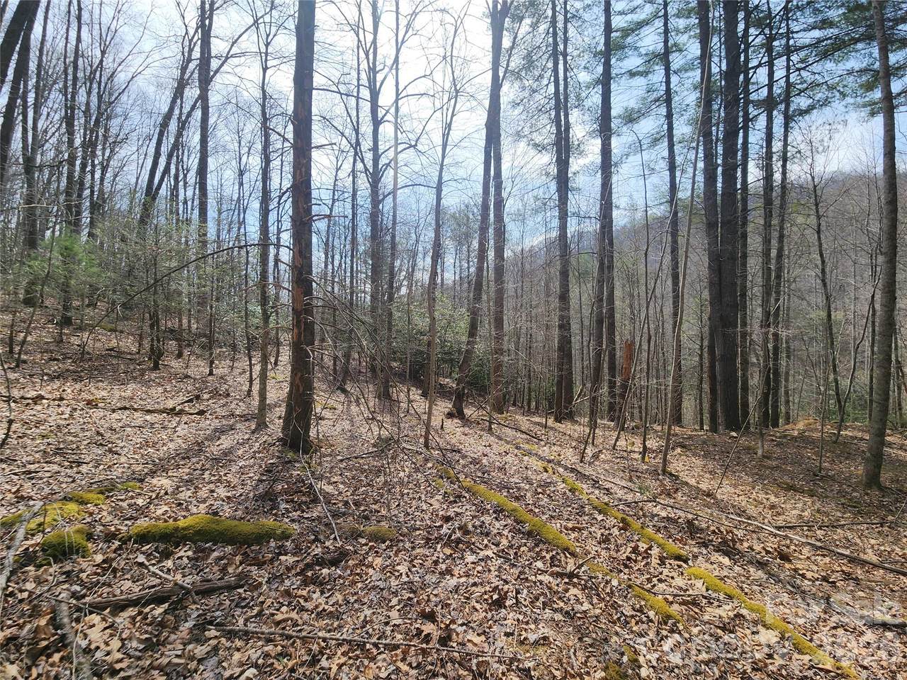 https://bt-photos.global.ssl.fastly.net/cmls/1280_boomver_2_4263655-1.jpg