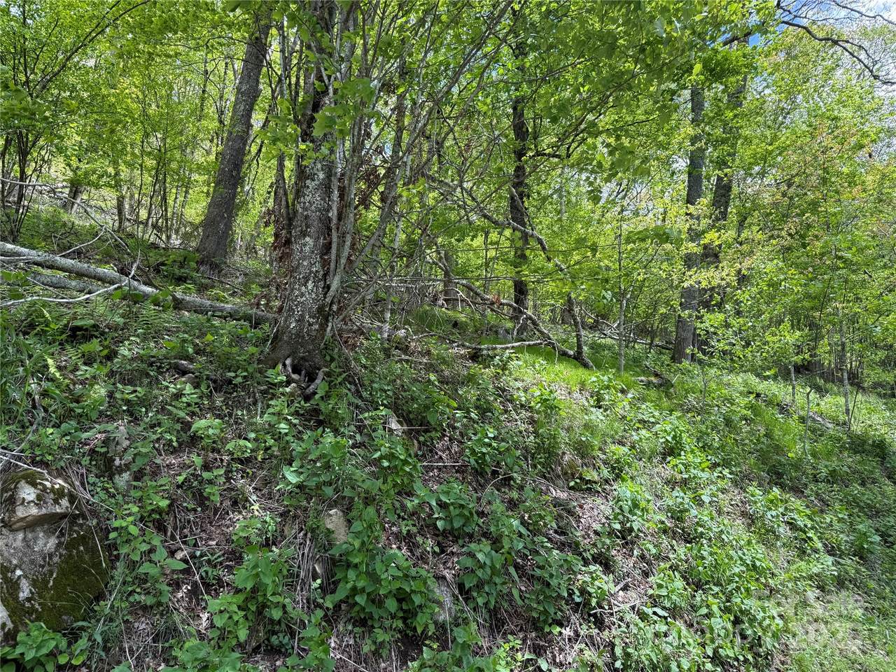 44 Fox Paw Lane - Photo 1