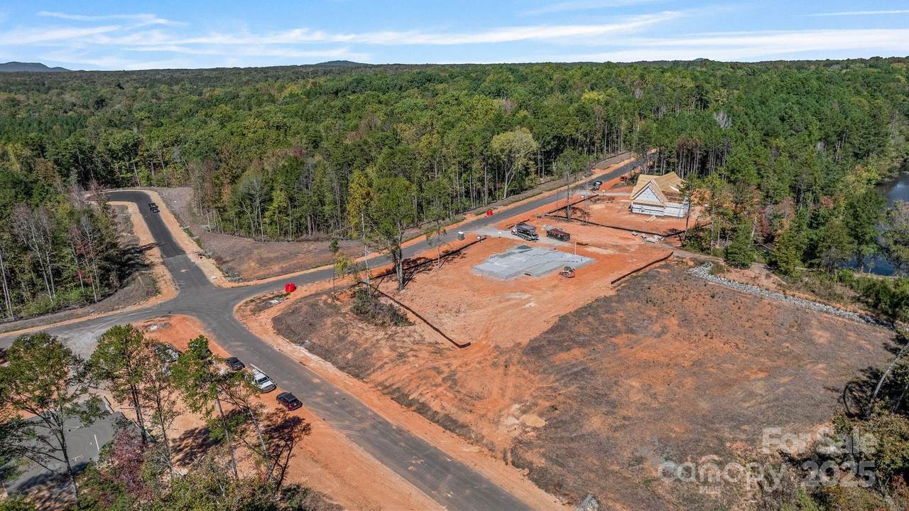 Lot 36 Snow Goose Walk Court - Photo 1