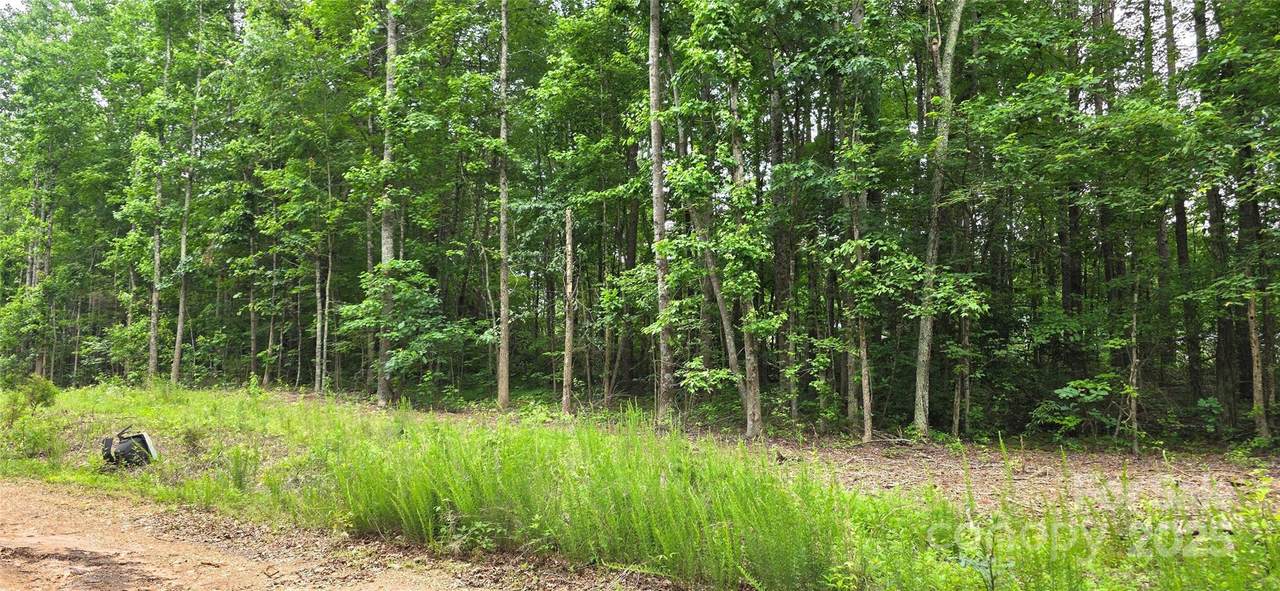 Lot 72 & 73 Meandering Lane - Photo 1