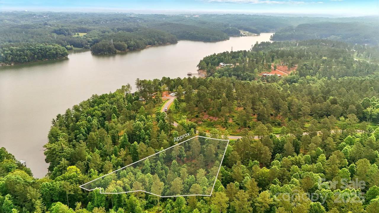 2143 Castle Peak Mountain - Photo 1