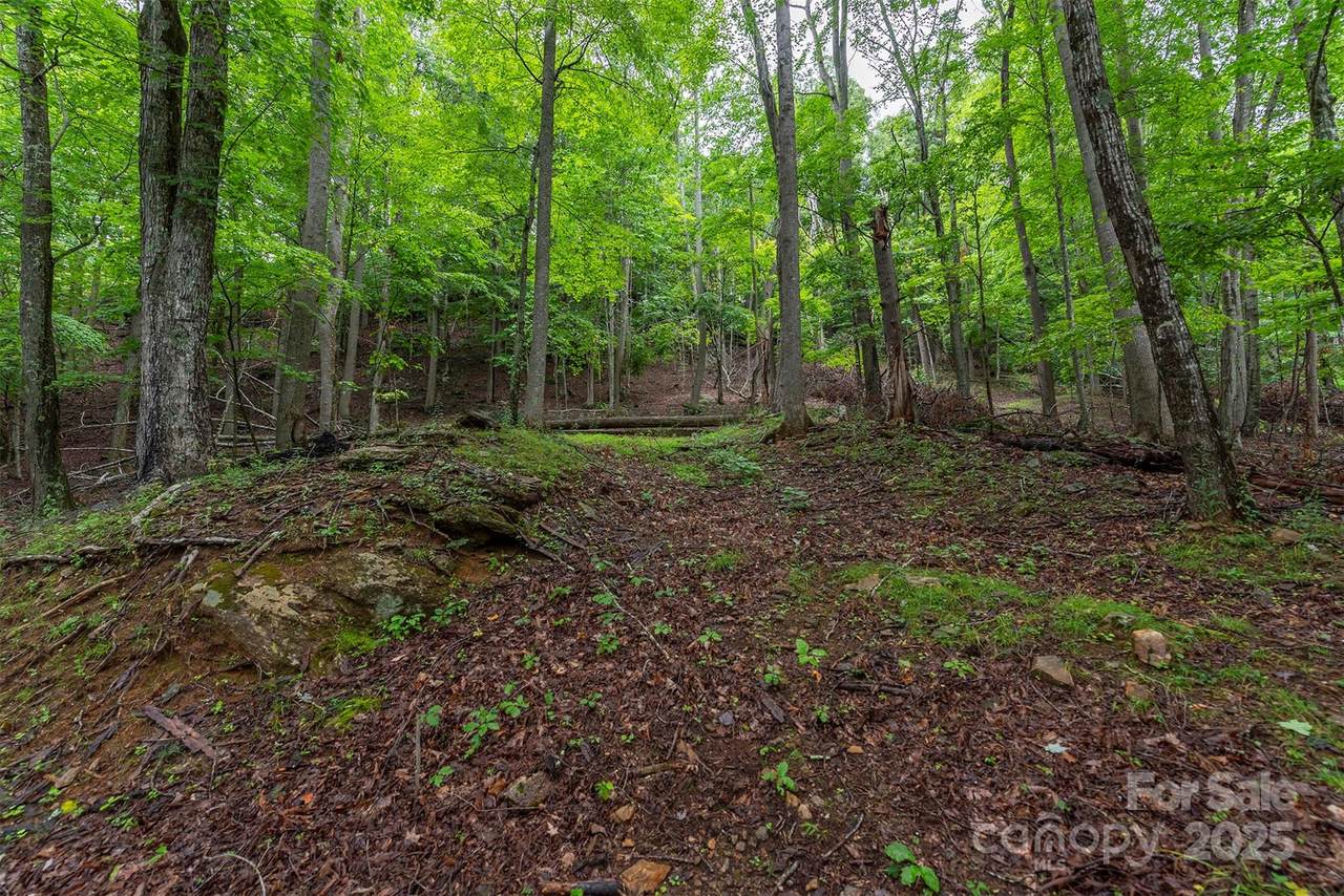 25 Hickory Springs Road - Photo 1