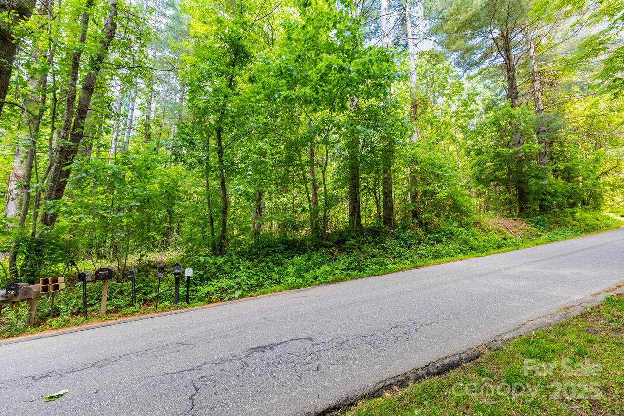 TBD Woodfin Road - Photo 1