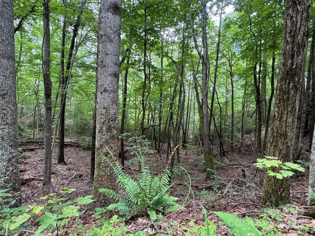 0 Quail Ridge Road - Photo 1