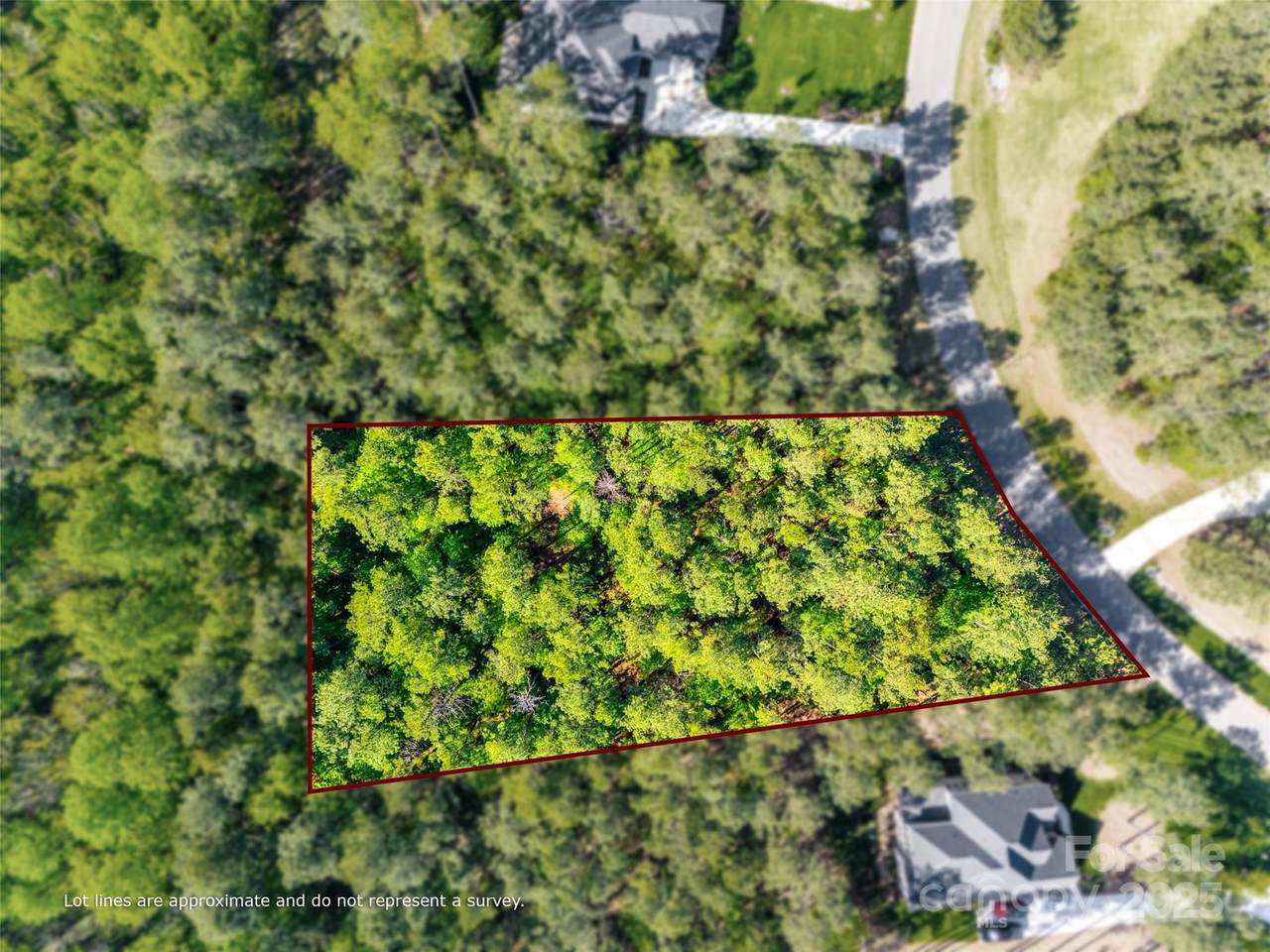 6017 Chimney Bluff Road - Photo 1