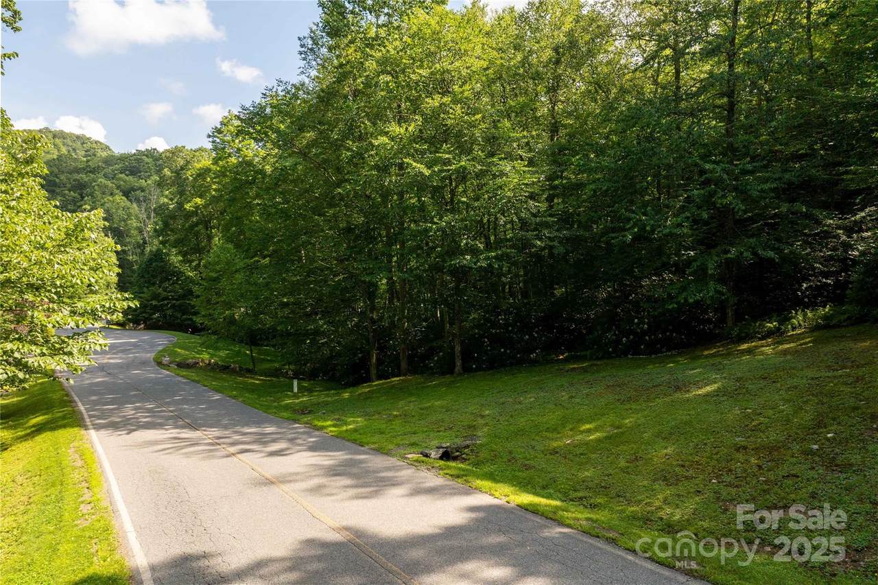 TBD Lot 106 Firethorn Trail - Photo 1