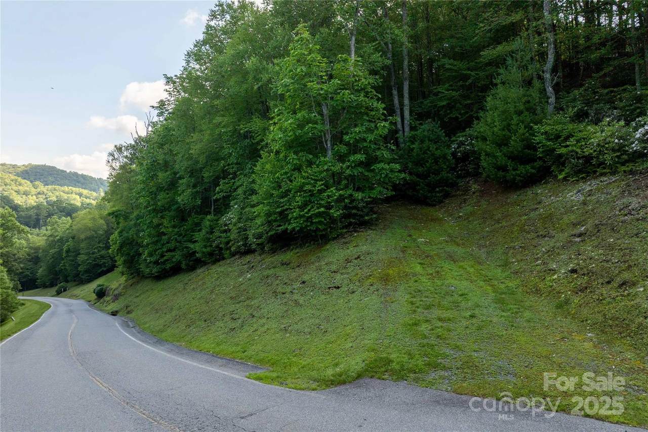 TBD Lot 108 Firethorn Trail - Photo 1