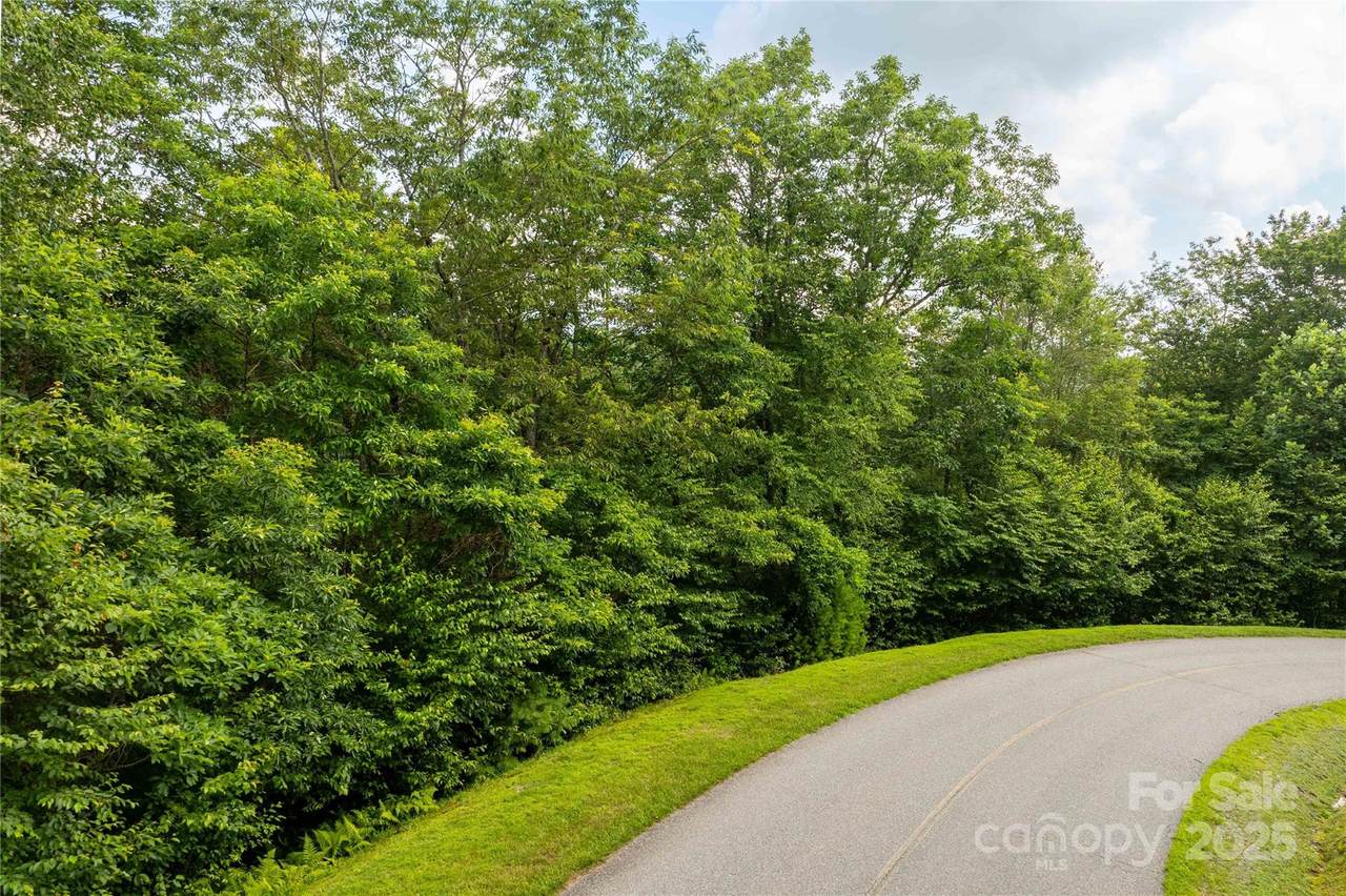 TBD Lot 122 Firethorn Trail - Photo 1