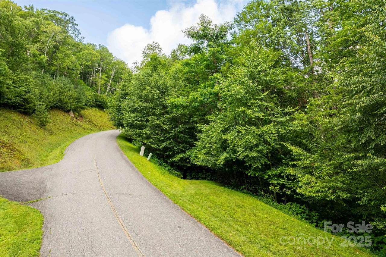 TBD Lot 123 Firethorn Trail - Photo 1
