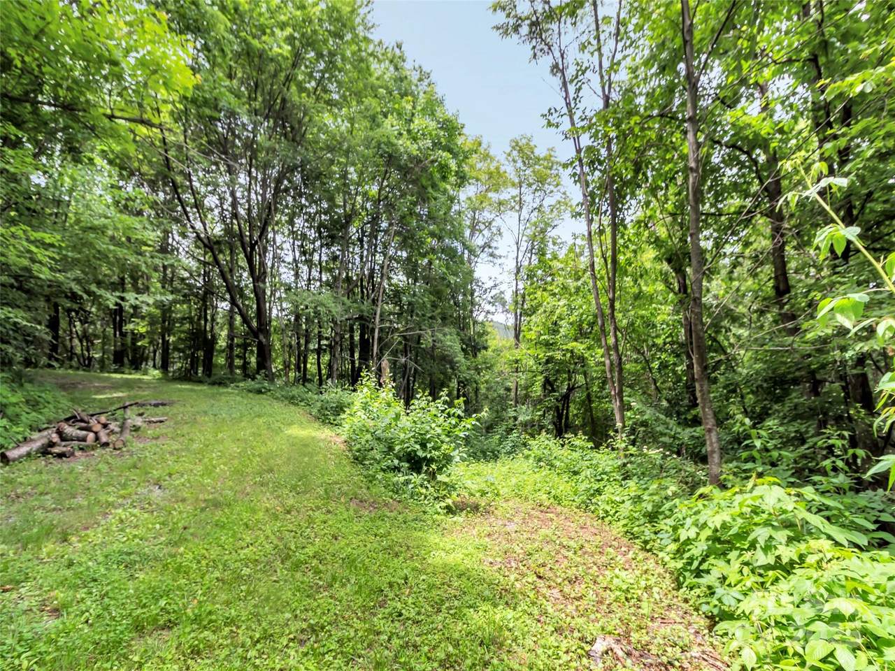32 Sallywood Trail - Photo 1