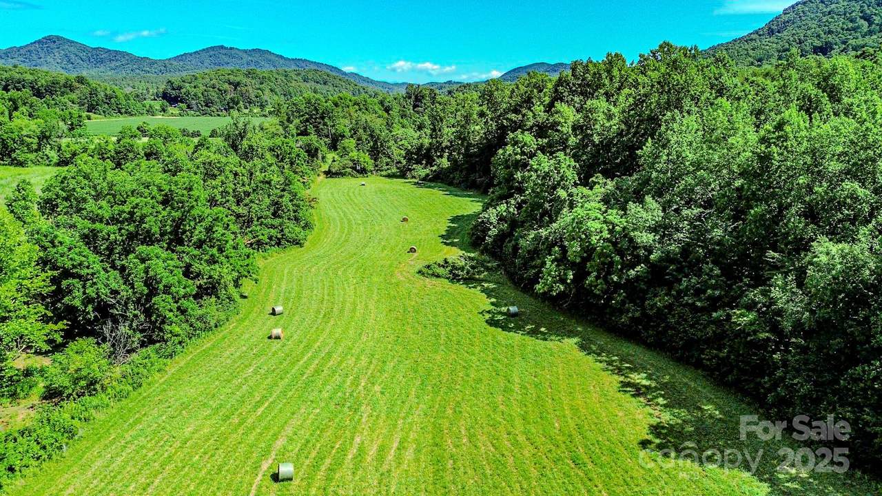 0 Cane Creek Road - Photo 1
