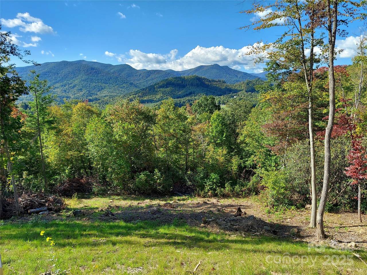 LOT 19 Summit View Parkway - Photo 1