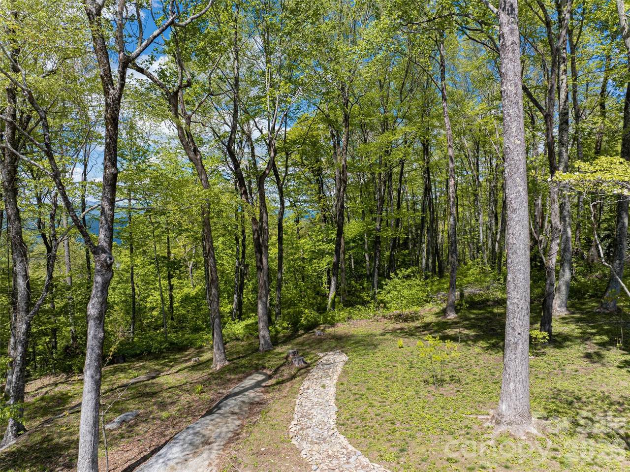 000 Laurel Ledge Way - Photo 1