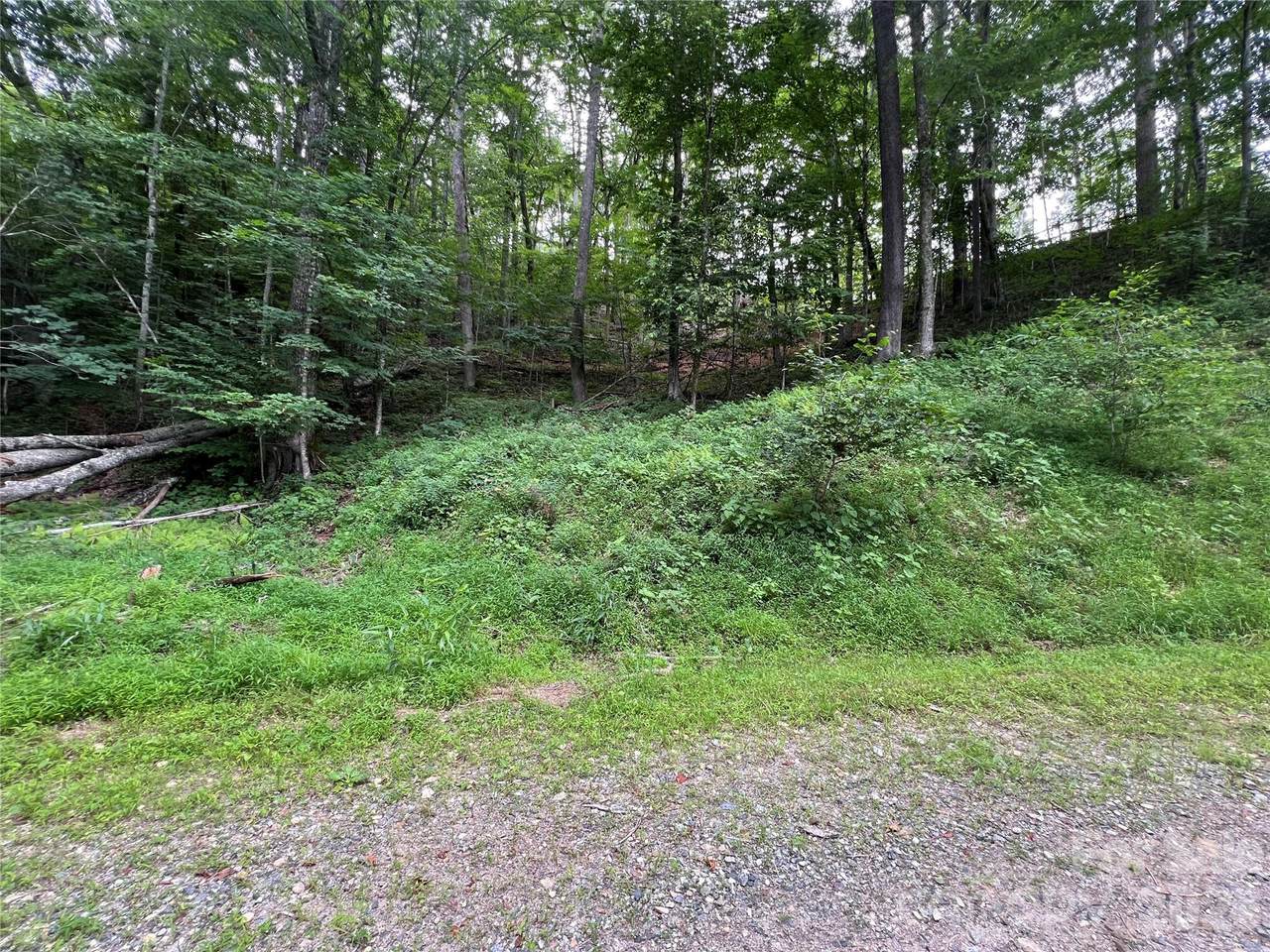 0 Chestnut Lane - Photo 1