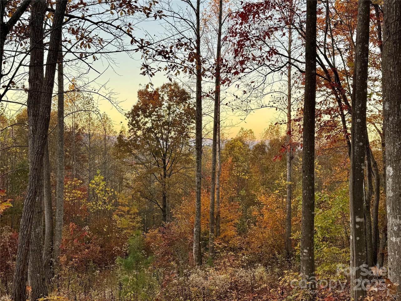 19 Meditation Ridge Extension - Photo 1