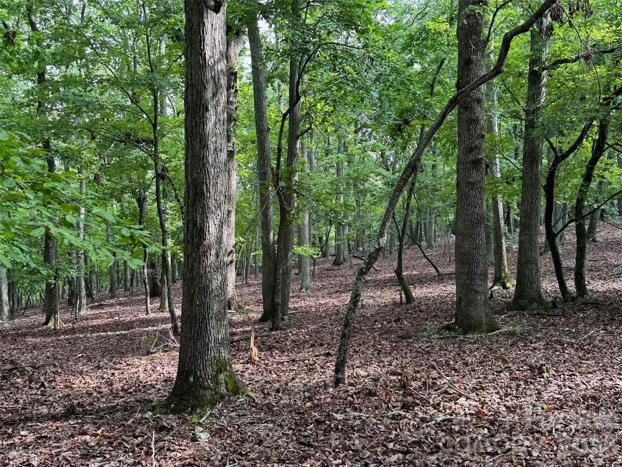 1695 Sierra Trace Road - Photo 1