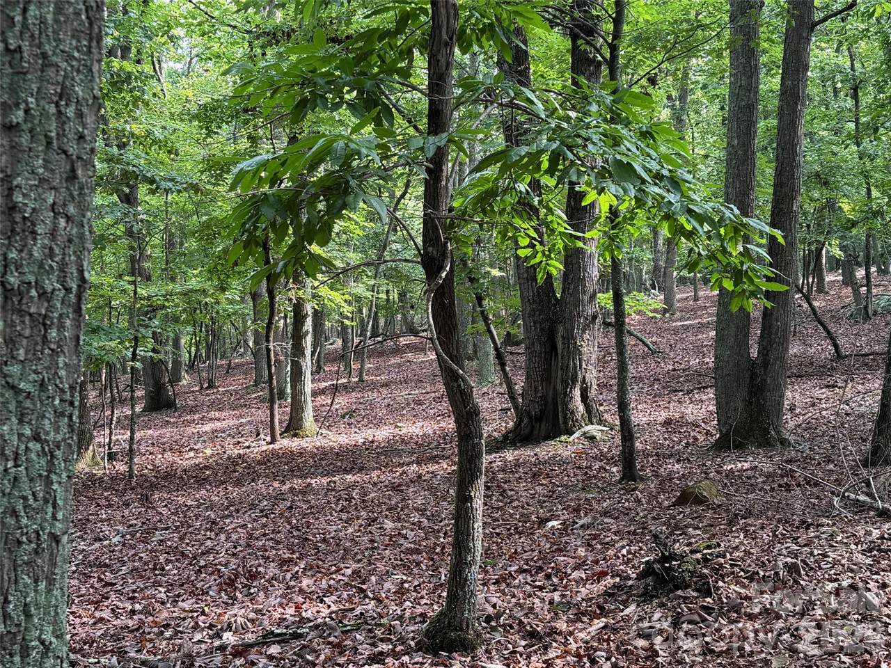https://bt-photos.global.ssl.fastly.net/cmls/1280_boomver_2_4281471-1.jpg