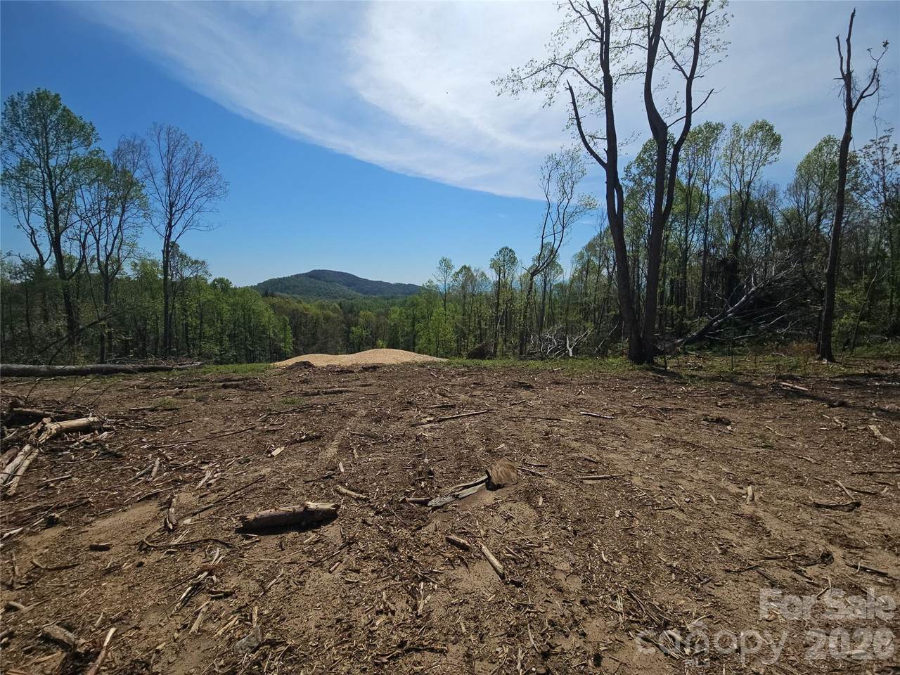 620 Dancing Bear Drive - Photo 1