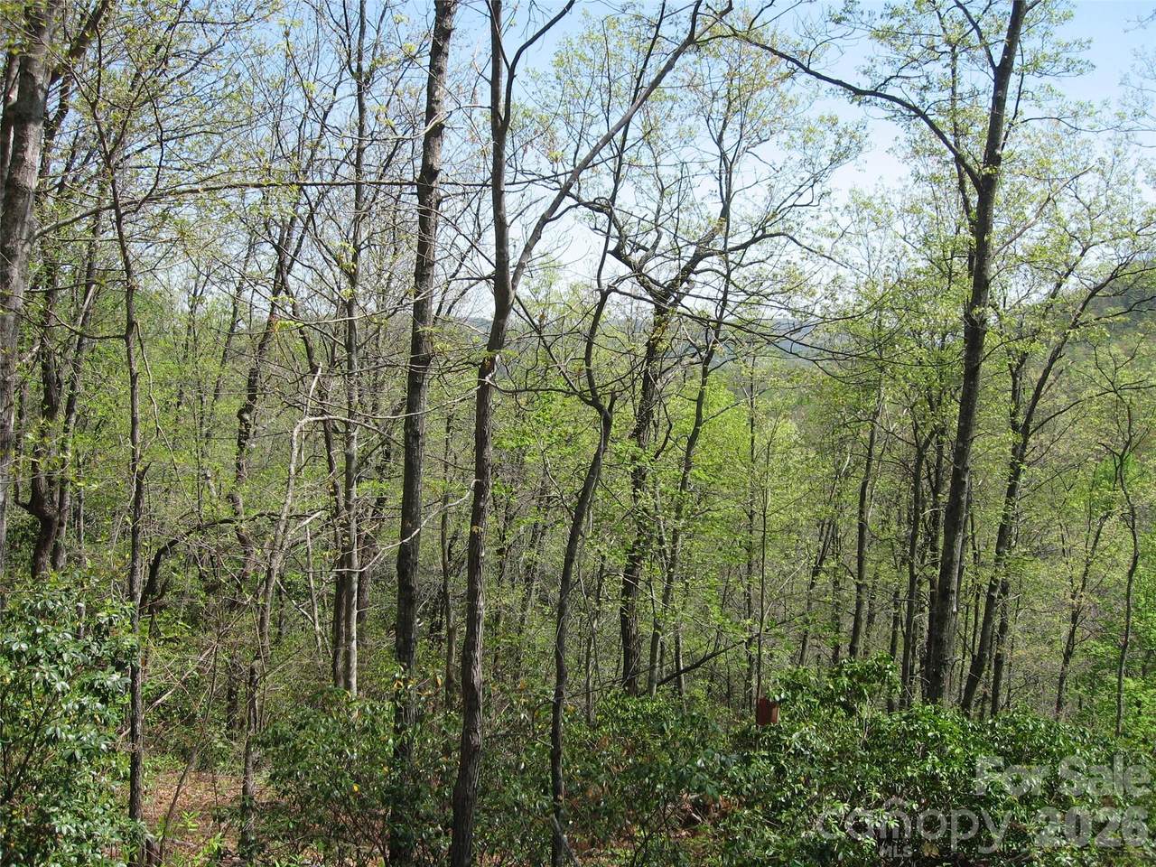 313 Line Runner Ridge Road - Photo 1