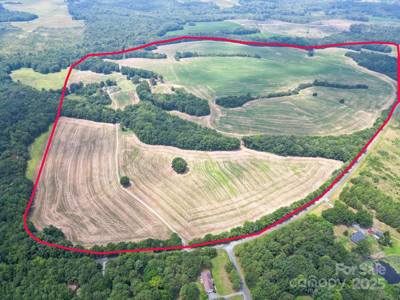 7602 Gus Eubanks Road - Photo 1