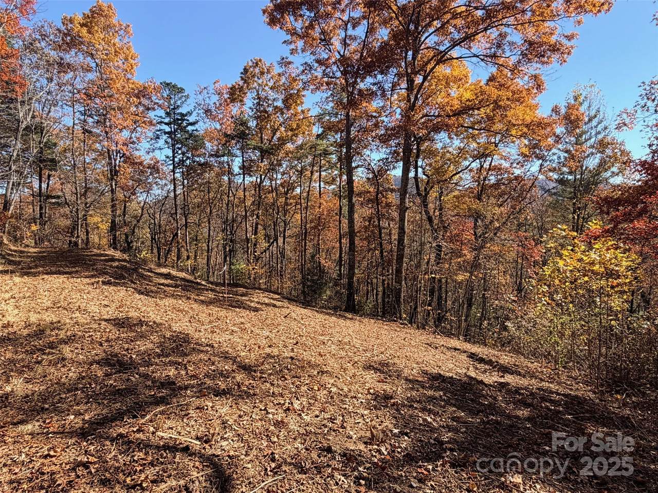 130 Brown Bear Ridge Trail - Photo 1