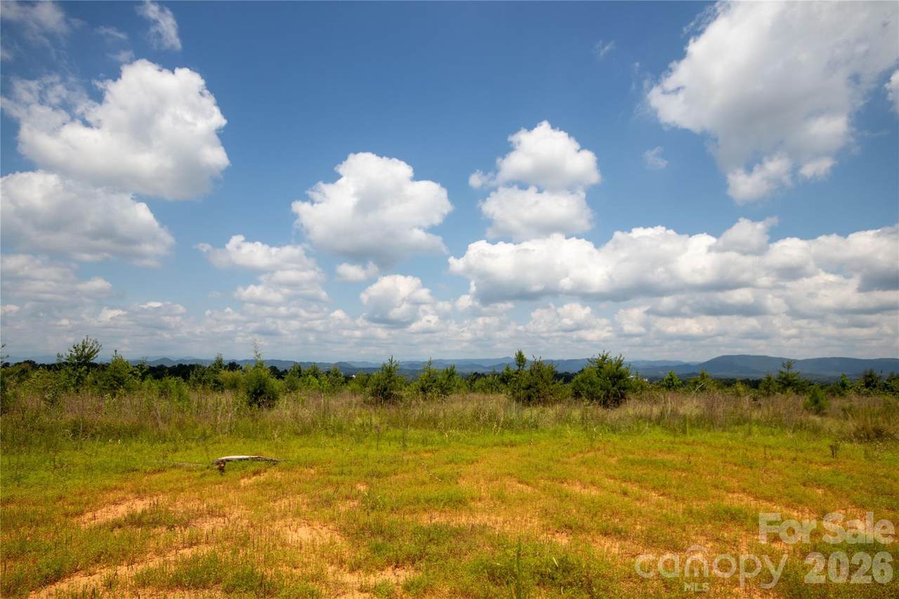 TBD Hickory Boulevard - Photo 1