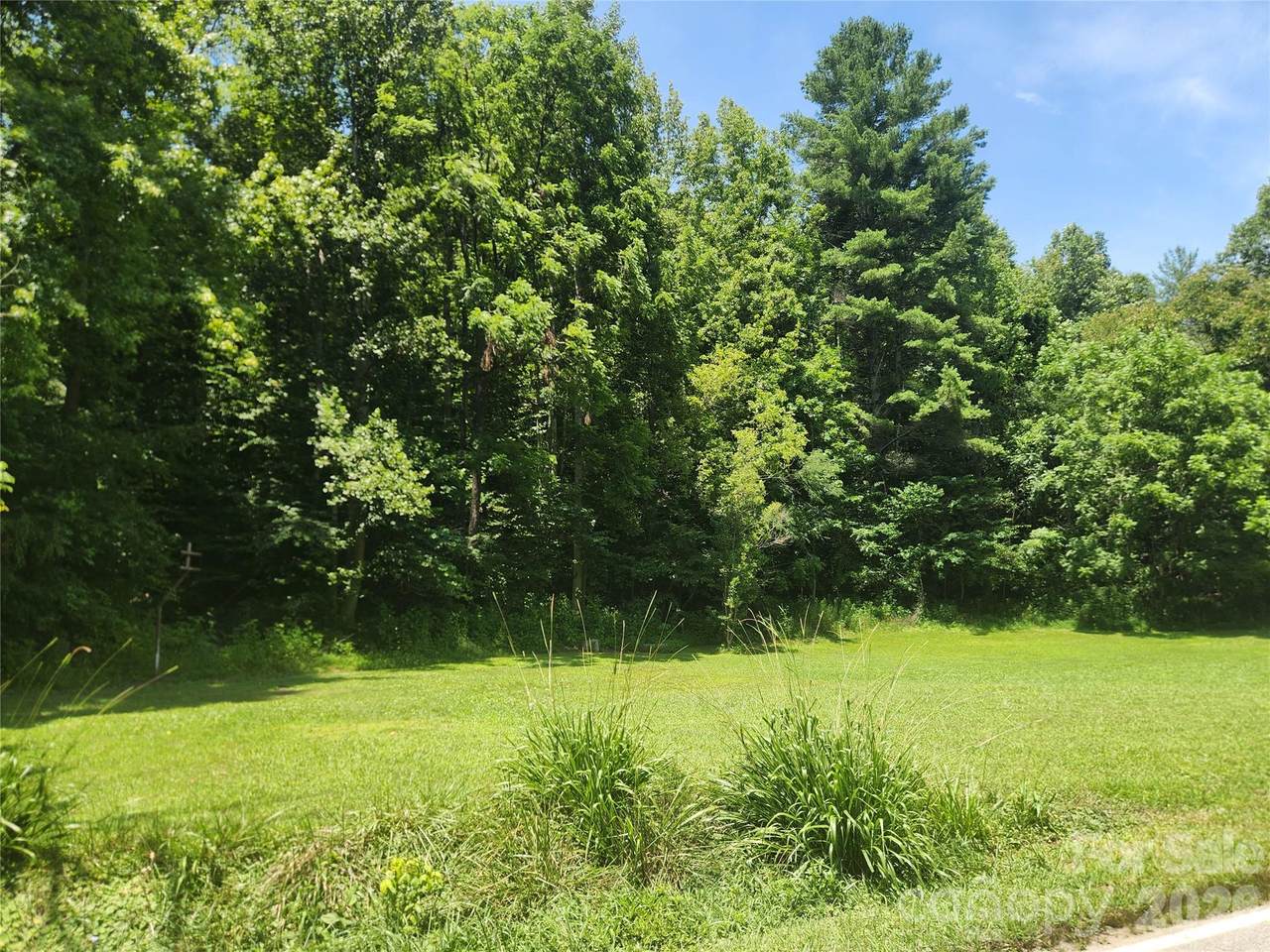2003 Zacks Fork Road - Photo 1