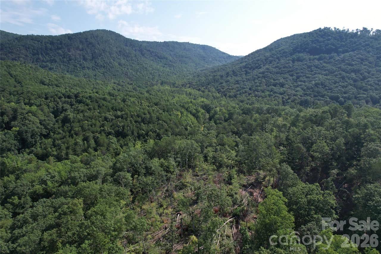 0 Camp Mccall Road - Photo 1
