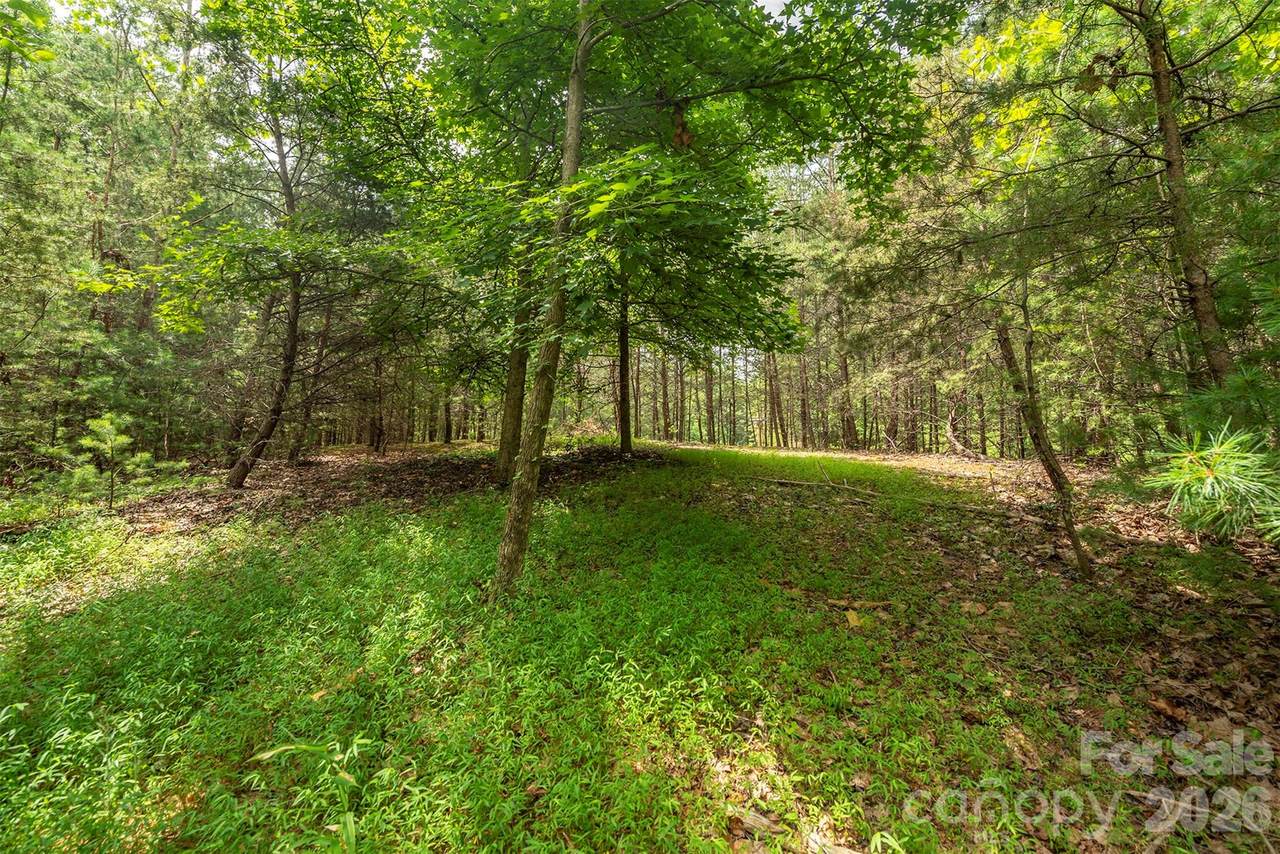 LOT 46 Black Forest Drive - Photo 1
