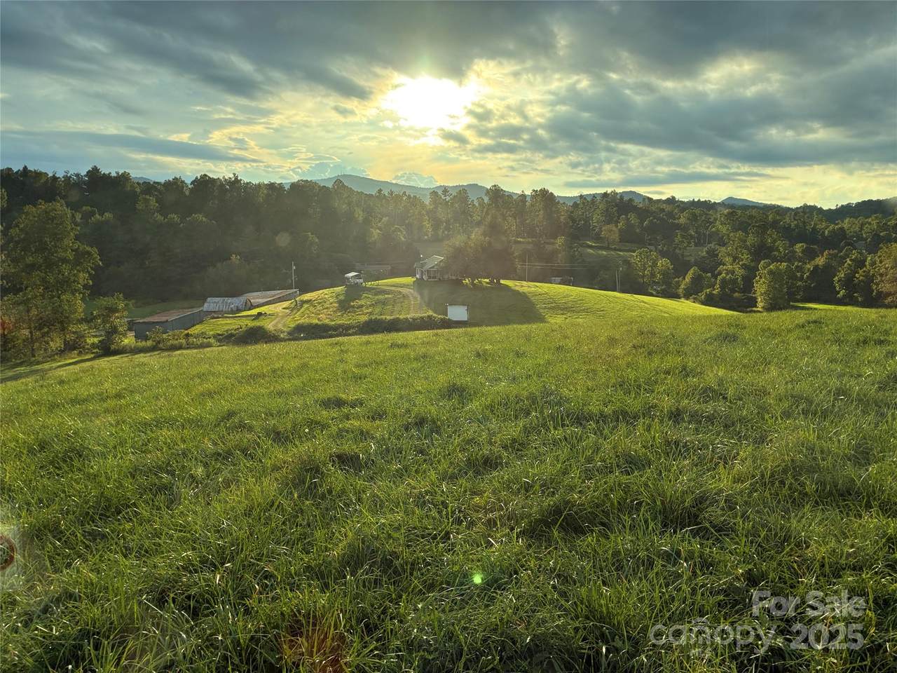 1305 Halltown Road - Photo 1