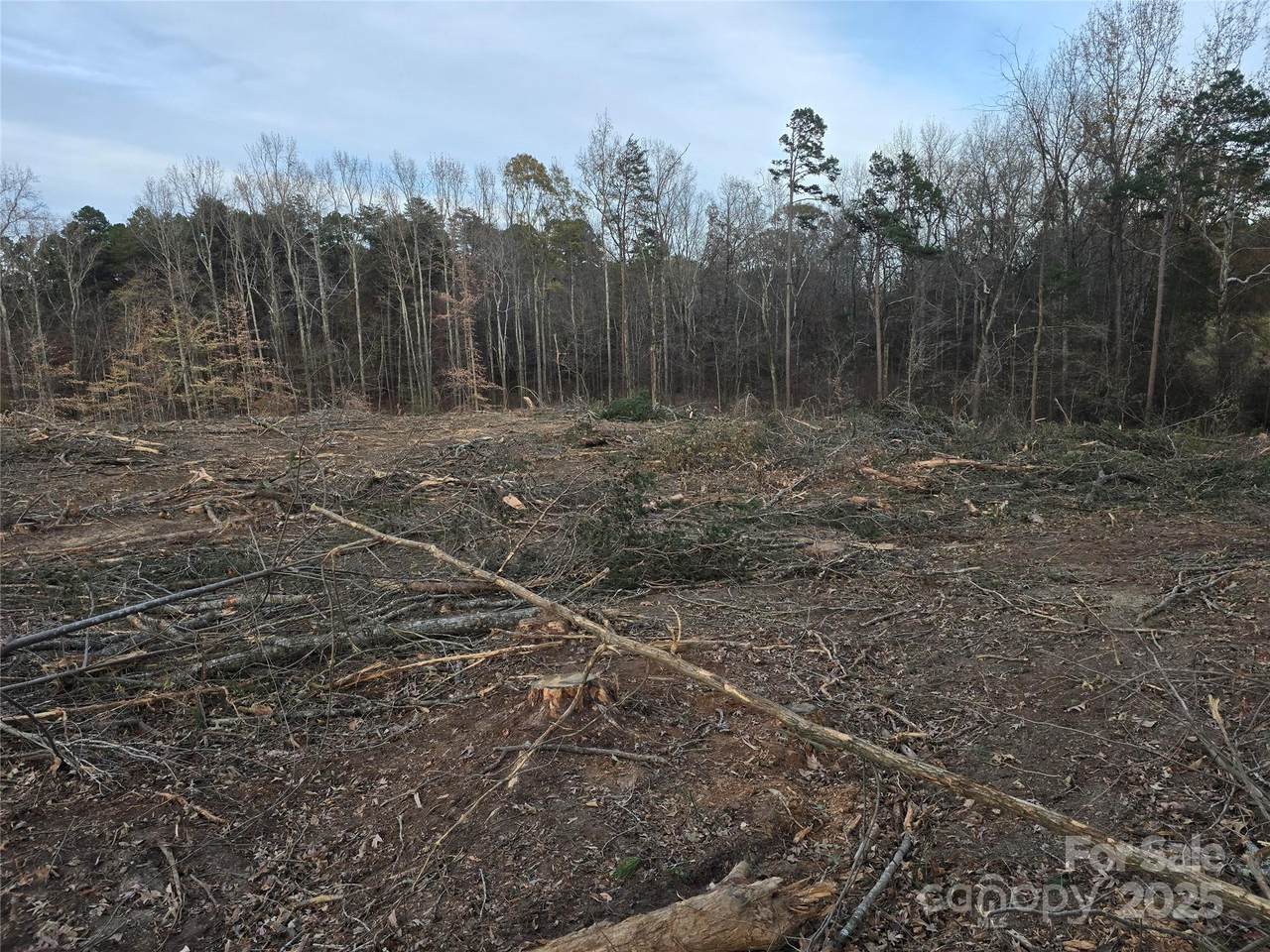 TBD Wildwood Drive - Photo 1