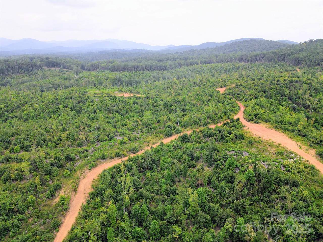 V/L Youngs Creek Road - Photo 1