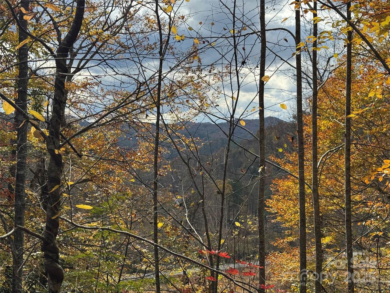 TBD Globe Road - Photo 1