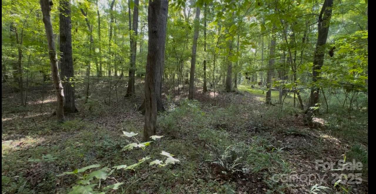 1402 Bloomsberry Lane - Photo 1