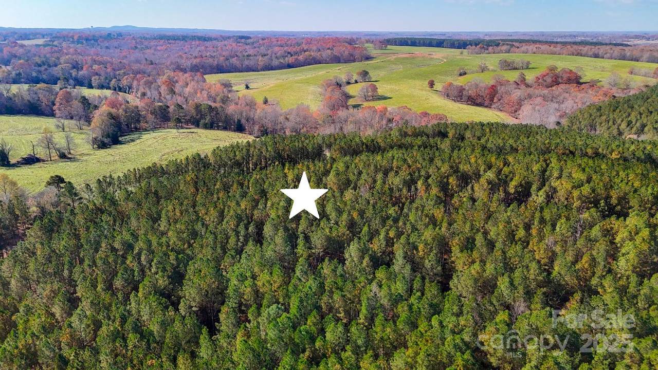 138 Whispering Pines Lane - Photo 1