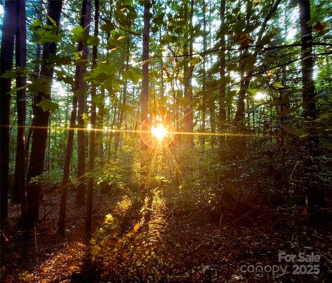 0 Broyles Road - Photo 1